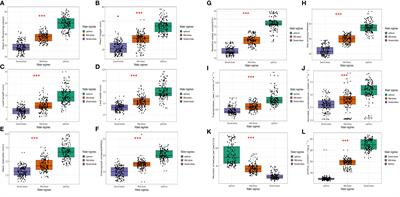 Morpho-physiological and biochemical characterization of African spider plant (Gynandropsis gynandra (L.) Briq.) genotypes under drought and non-drought conditions